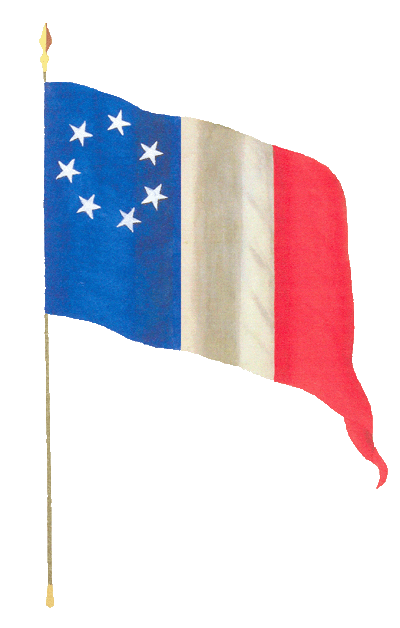 Confederate Treasury Department Flag